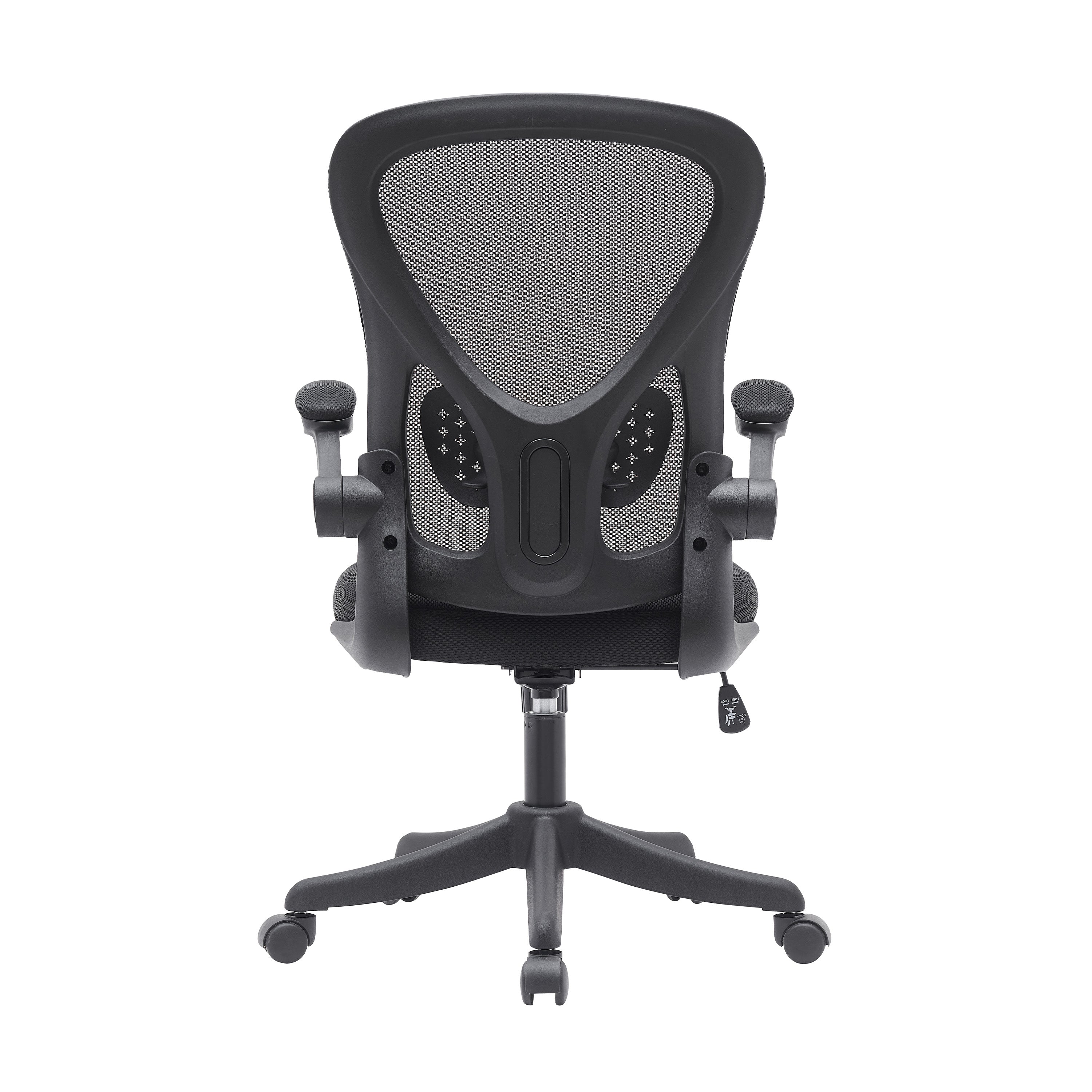 Daily Office Task Chair with Lumbar Support, Black